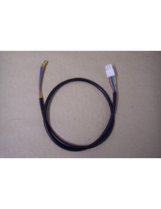 CELC000029