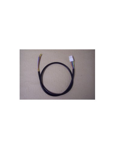 CELC000029