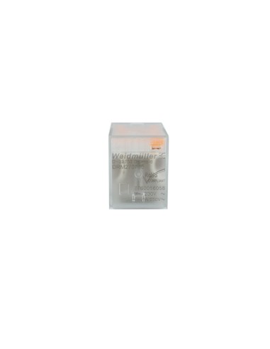 CELC000006-1